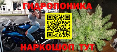 эйфоретик Коммунар