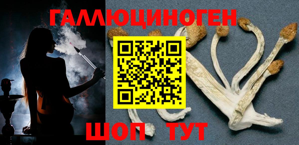 Псилоцибиновые грибы ЛСД Геленджик